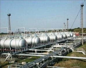 ����� ������ ���� �������� ���� ����� ������� �� 2010
